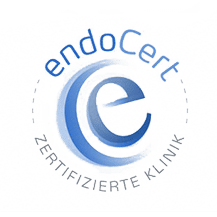 endocert-stenum-1 (1)